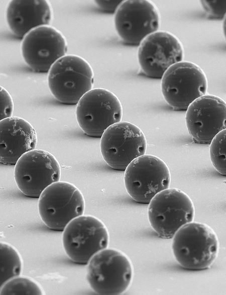 Microesferas oscuras con pequeñas cavidades observadas al microscopio